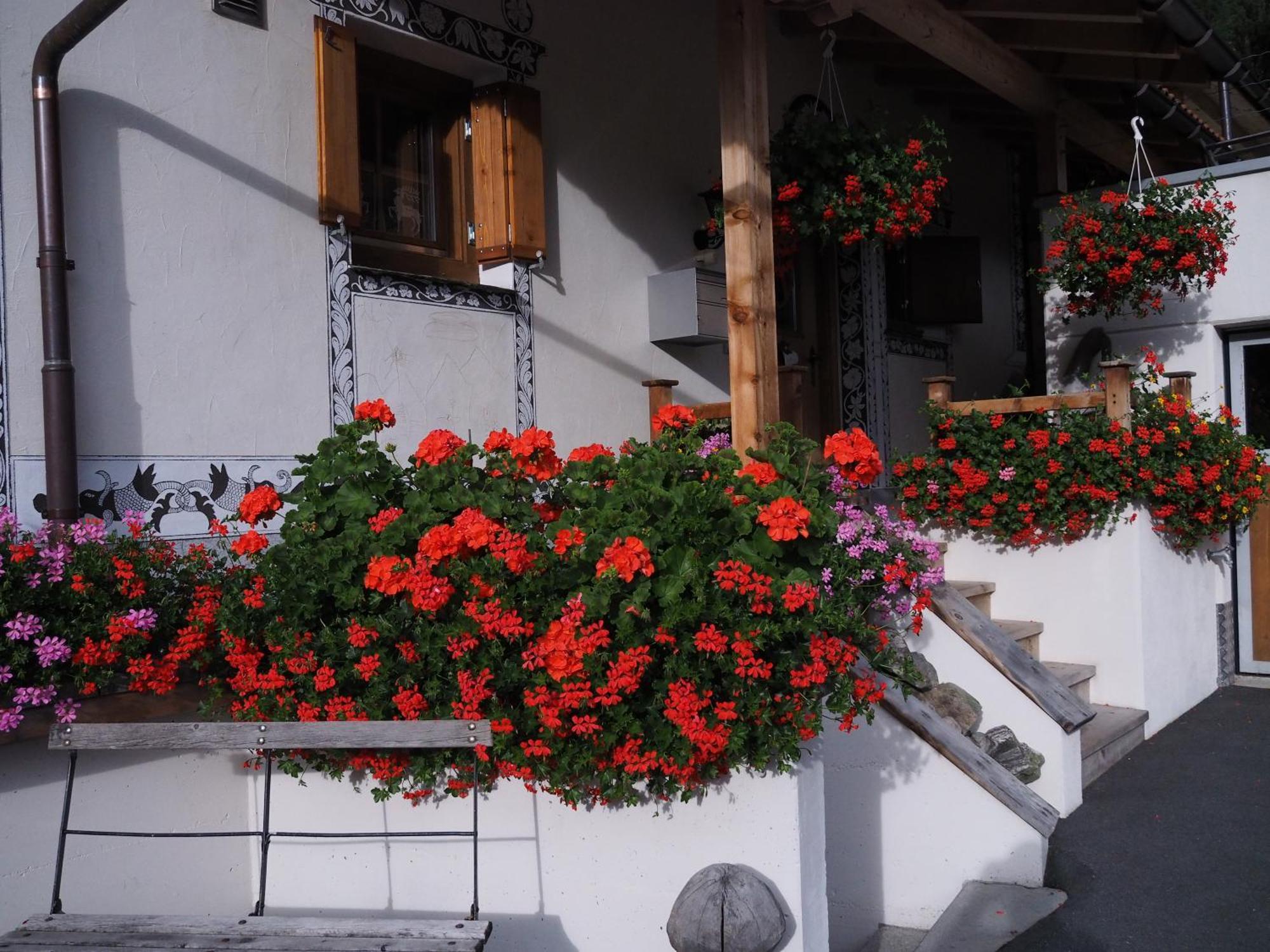 Apartamento Chesa Sper L'Ovel Brail Zernez Exterior foto
