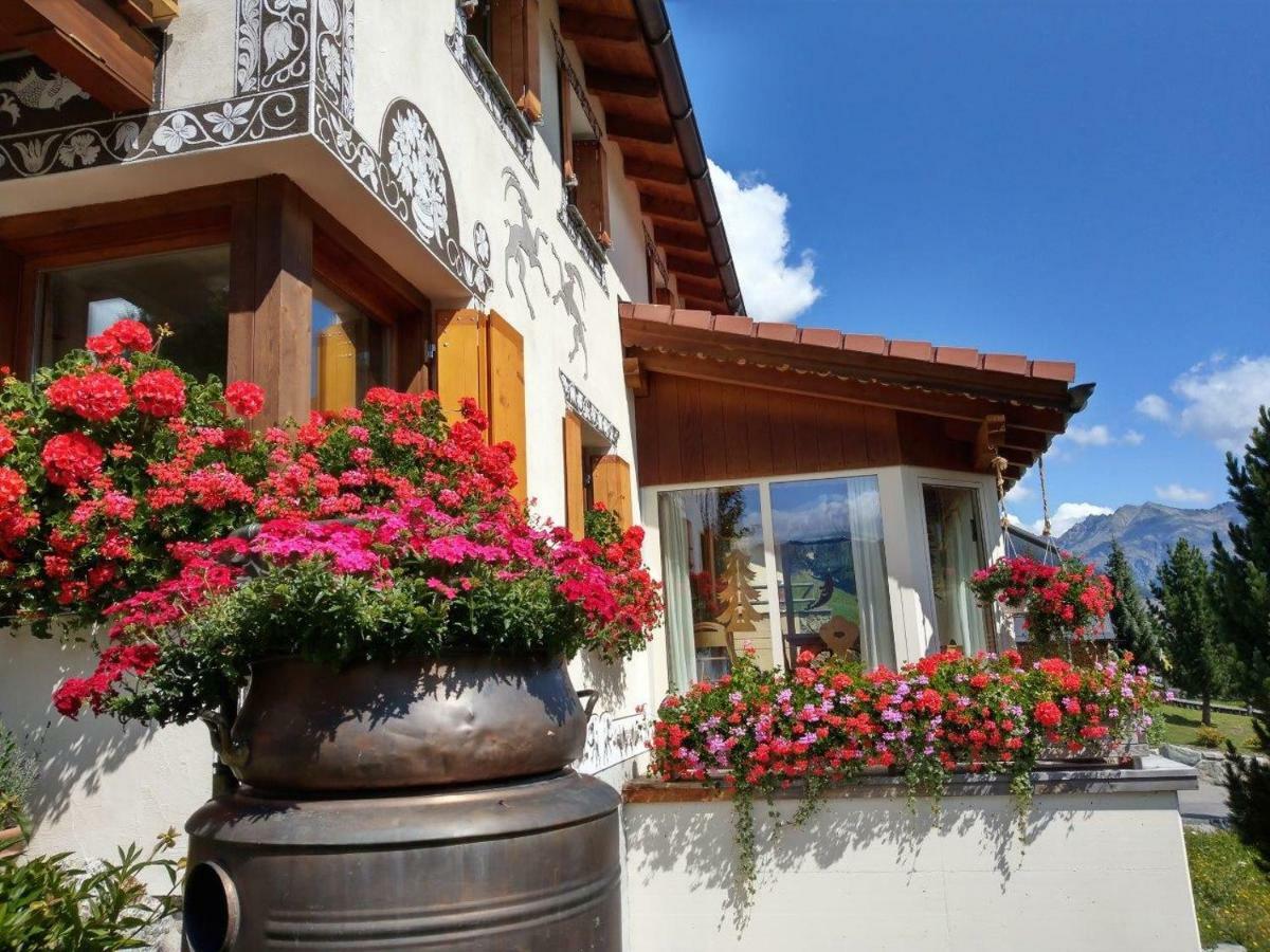 Apartamento Chesa Sper L'Ovel Brail Zernez Exterior foto